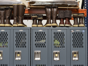 Metal Storage Cabinets