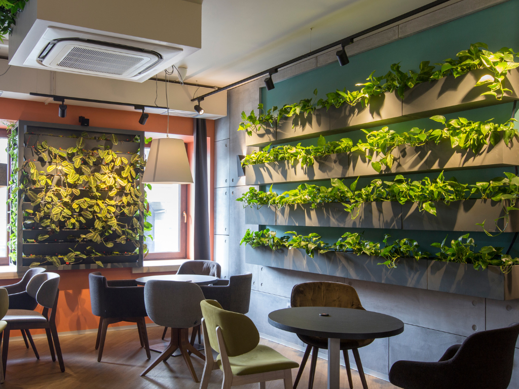 Plant Rental in Shopfitting