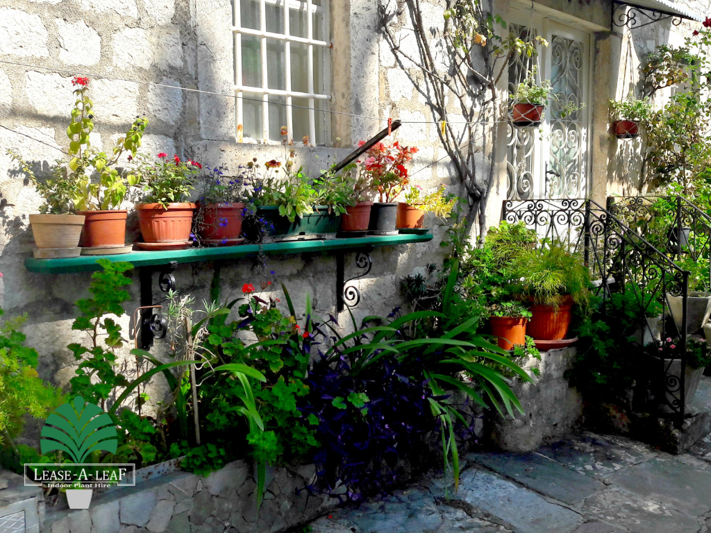 Plant Hire in sydney