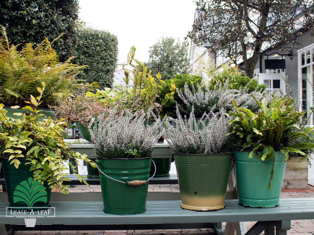 Plant Hire in sydney