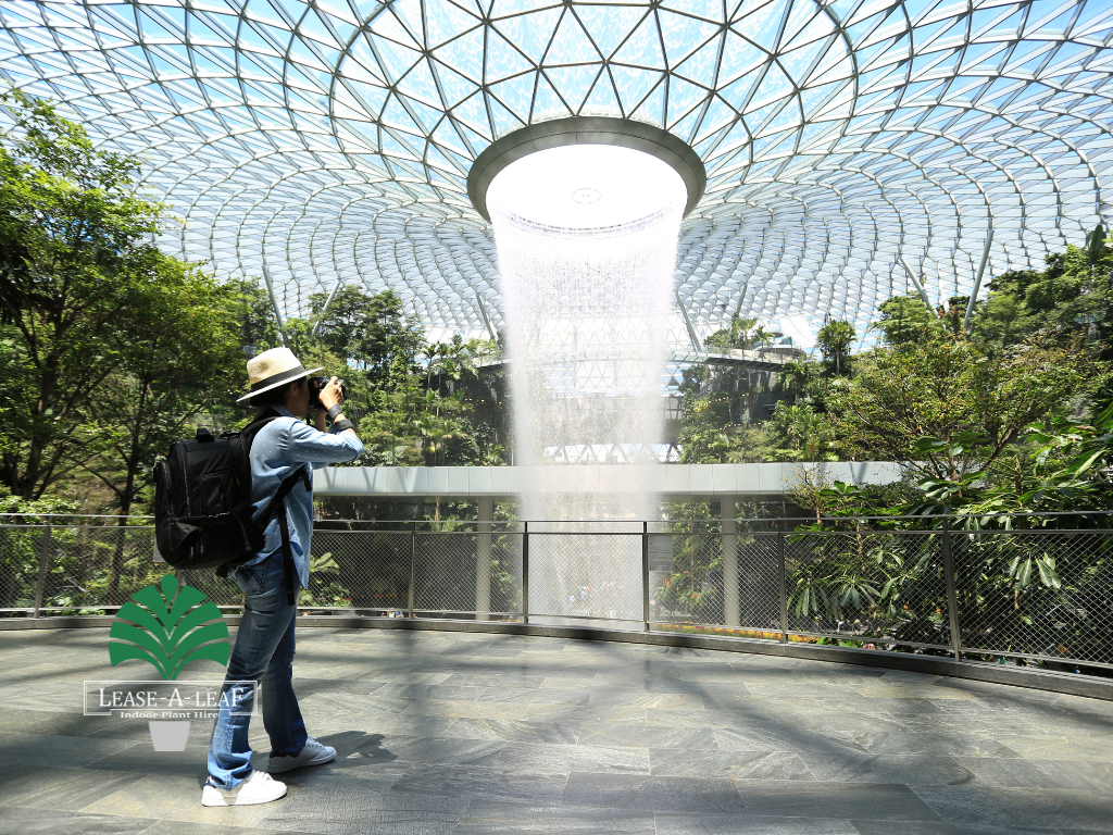 Macquare Park Indoor plant hire