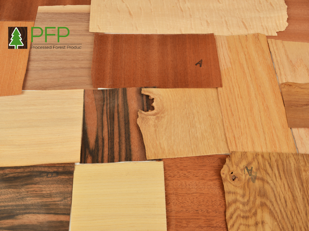burl veneer + veneer board + timber veneer Sydney