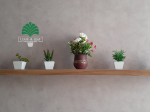 North Ryde Indoor Plant Hire