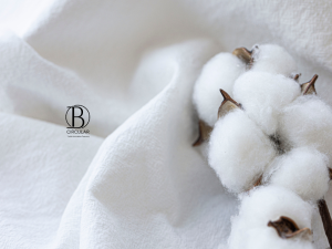 organic cotton stretch fabric Australia, ethical supply chain textiles, eco fabric traceability platform, hemp blended fibre textiles, circular textiles for apparel brands, responsible fibre solutions for fashion