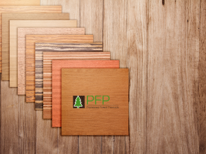 wood veneer design,timber veneer wood veneer supplies, wood veneer supplies, timber veneer sydney, timber veneer sydney