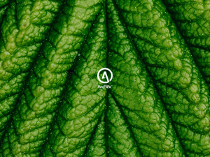 what is plant-based stretch fabric,biodegradable stretch fabric, high performance sustainable textiles, plant-based stretch fabric, workwear performance fabric sustainable